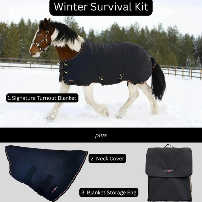 Bundle: Heavyweight 300g Winter Horse Turnout Blanket, Neck Warmer & Blanket Storage Bag Kensington Protective Products