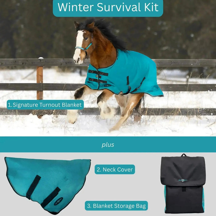 Bundle: Heavyweight 300g Winter Horse Turnout Blanket, Neck Warmer & Blanket Storage Bag Kensington Protective Products