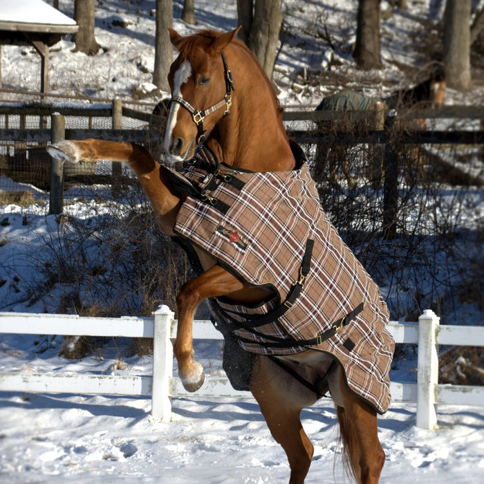 Supermesh® Winter Turnout Blanket - Supremely Durable, Waterproof & Breathable Kensington Protective Products