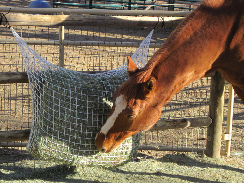 Freedom Feeder Extended Day Net 2 String Bale. Slow fed hay net