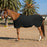 Pony Poly Cotton Stable Sheet