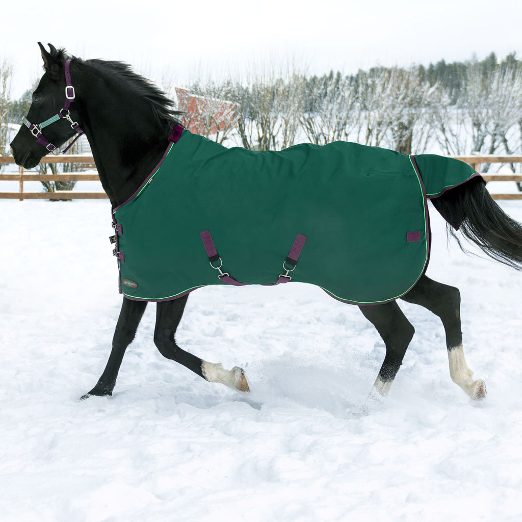 1200 Denier Outdoor waterproof Horse Combo Rug 300g Winter Rug