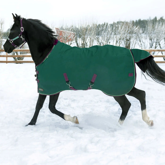 horse winter blanket