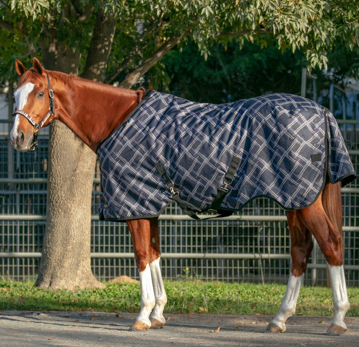 winter turnout blanket