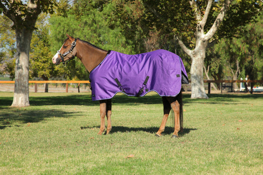 1,200Denier Pony "300G" Heavy Weight Waterproof & Breathable Winter Turnout