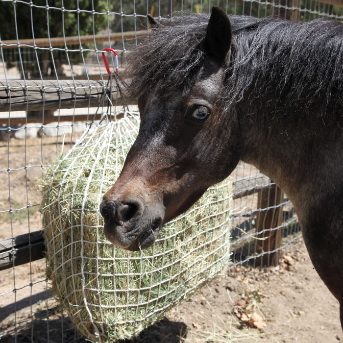 Freedom Feeder Trailer/Mini Hay Net - Slow Feed Hay Net - 2 Flake  - 3 Size Mesh Options Freedom Feeder