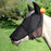 90% UV Fly Mask CatchMask UViator - Soft Mesh Ears, Removable Nose & Forelock Opening