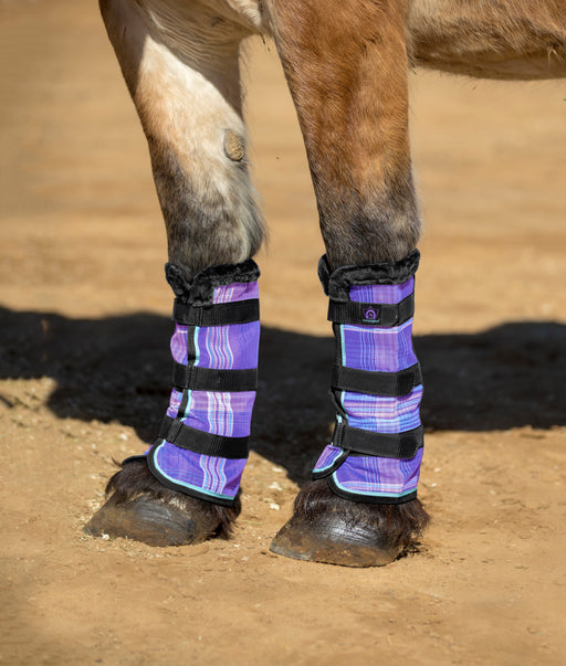 Draft fly boots with fleece trim in purple. 