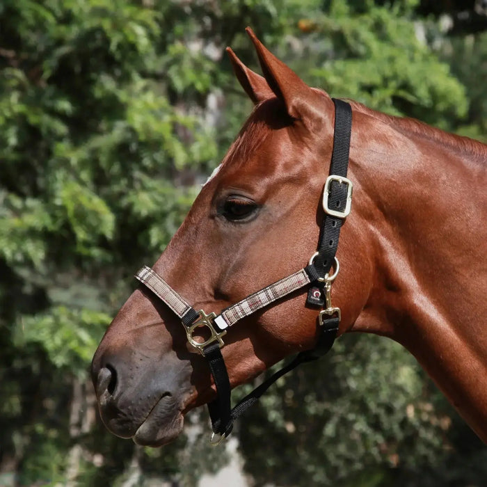 Reflective Nylon Halter with Textliene Kensington Protective Products