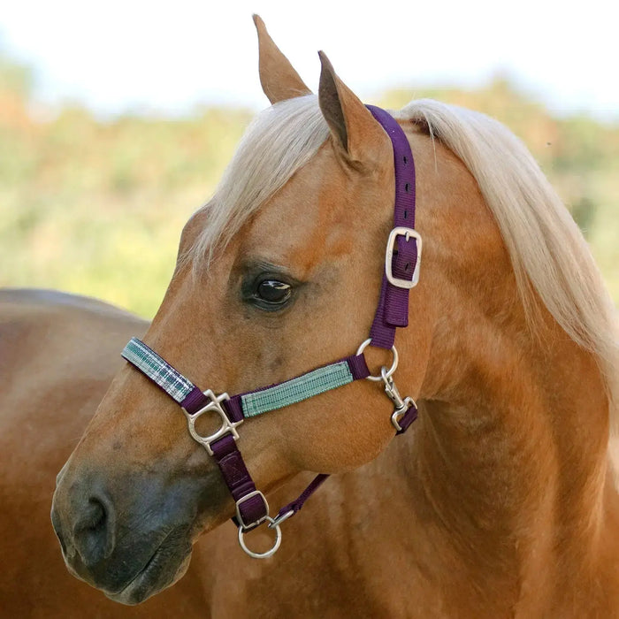 Reflective Nylon Halter with Textliene Kensington Protective Products