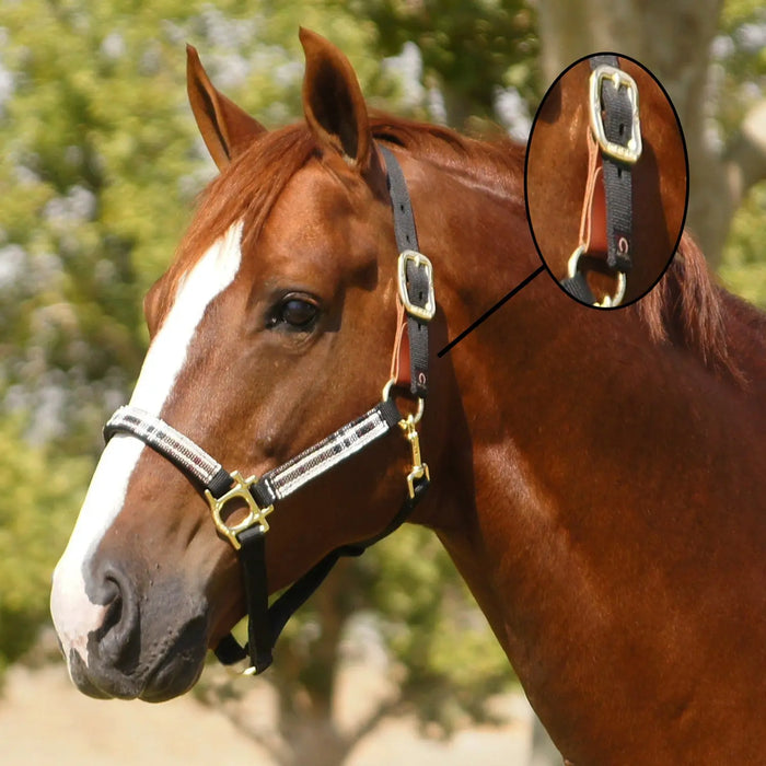 Reflective Breakaway Nylon Halter with Textliene Kensington Protective Products