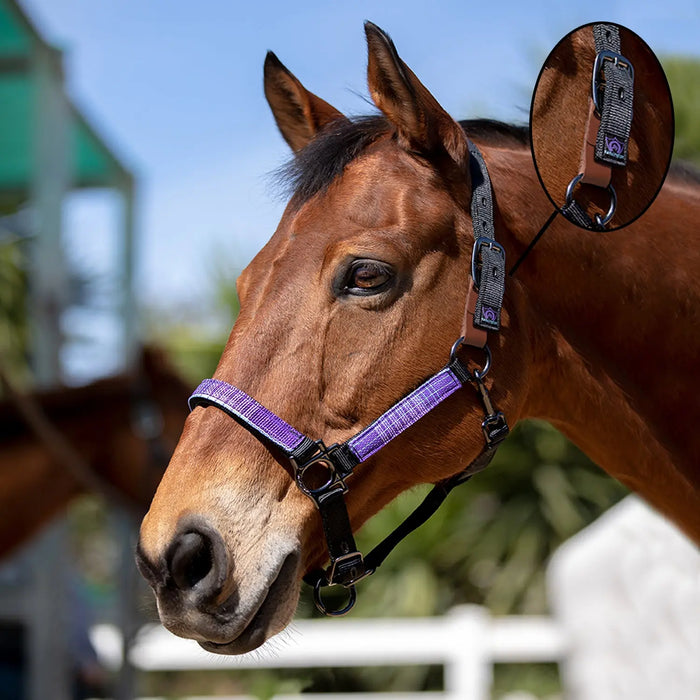 Reflective Breakaway Nylon Halter with Textliene Kensington Protective Products