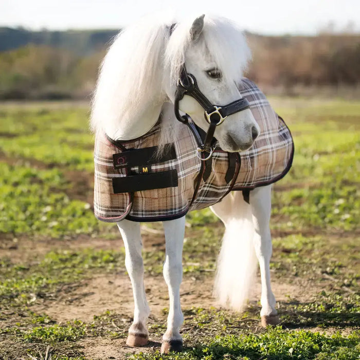 Mini textilene protective fly sheet. UV protection. Miniature horse. Tan brown plaid