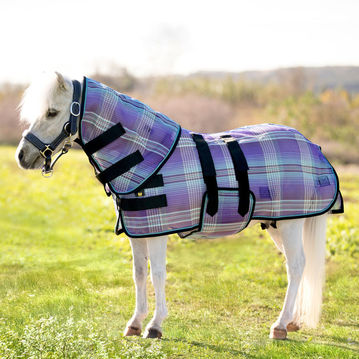 Mini textilene protective fly sheet. UV protection. Miniature horse wearing flysheet and neck cover. Purple plaid