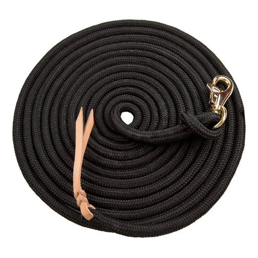 Horse training lead