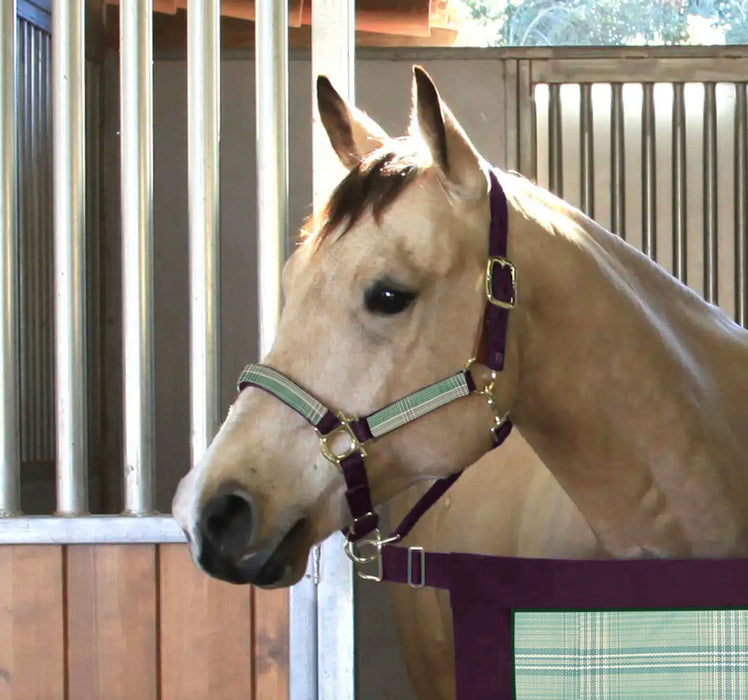 Reflective Nylon Halter with Textliene Kensington Protective Products