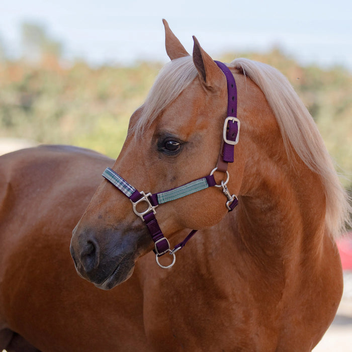 Reflective Breakaway Nylon Halter with Textliene Kensington Protective Products