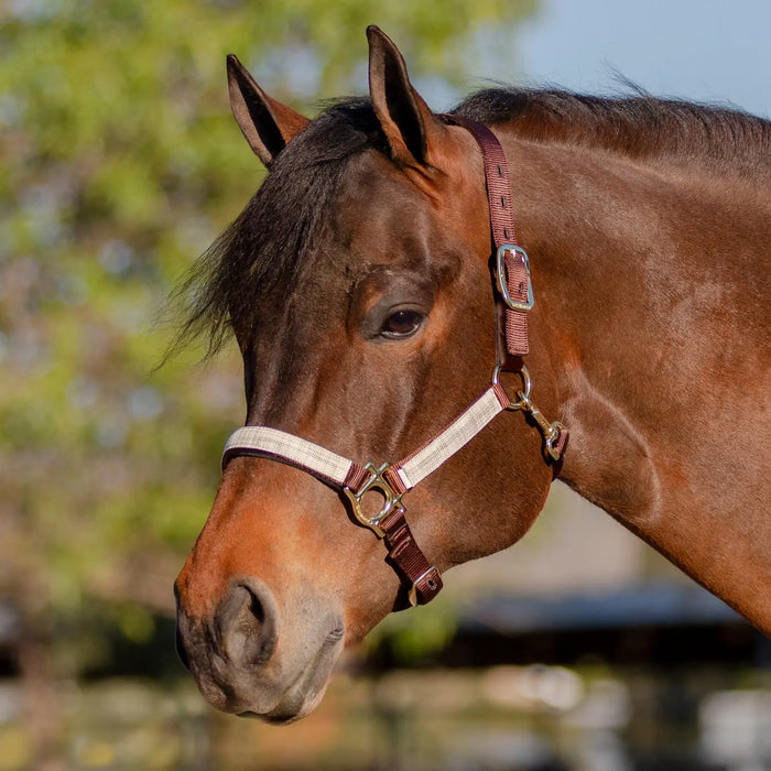 Reflective Breakaway Nylon Halter with Textliene Kensington Protective Products