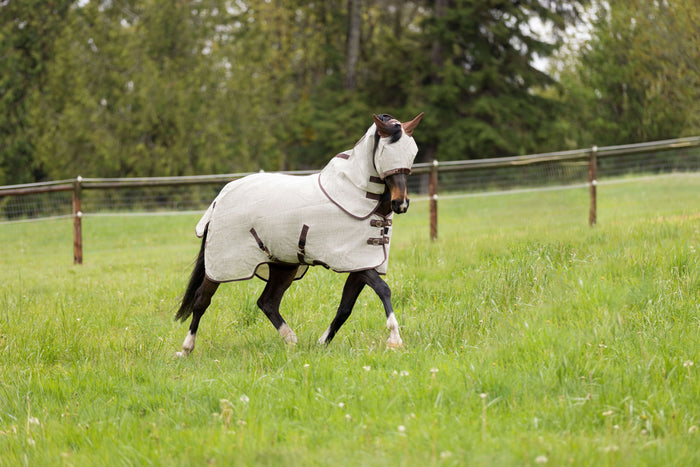 Choosing a Fly Sheet for Your Horse