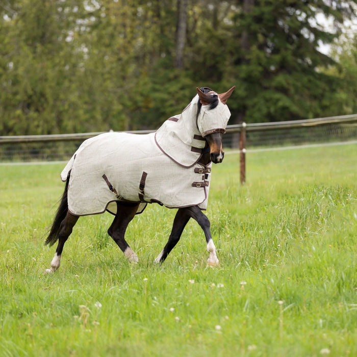 Choosing-a-Fly-Sheet-for-Your-Horse Kensington
