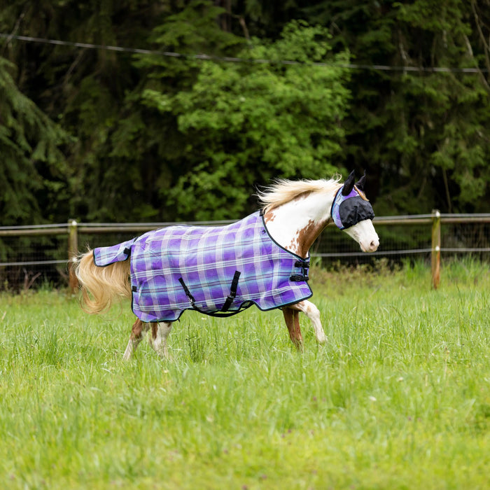 The-Importance-of-UV-Protection-for-Horses Kensington