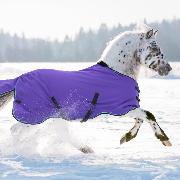 Properly-Adjusting-a-Horse-Blanket-for-Safety-Security Kensington