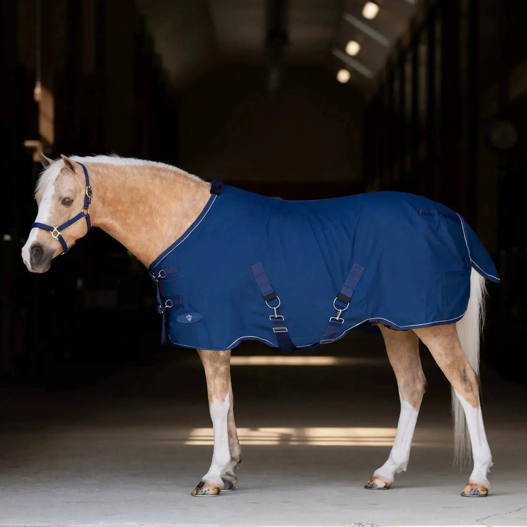 The-Truth-About-Static-Blankets-How-to-Prevent-Winter-Shocks Kensington