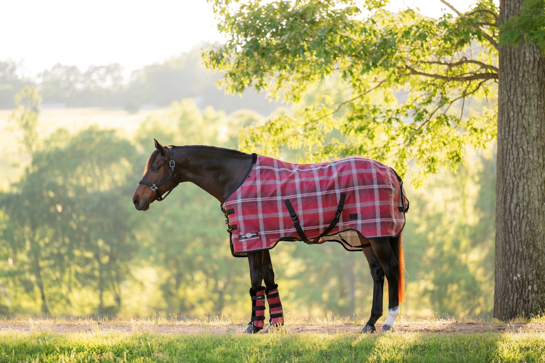 Horse fly sheets