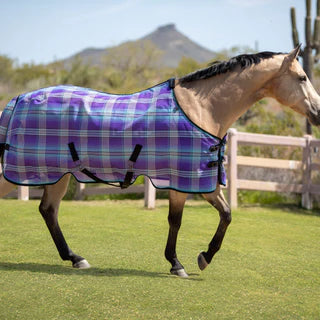 The Menace of Flies: Diseases They Can Cause in Horses