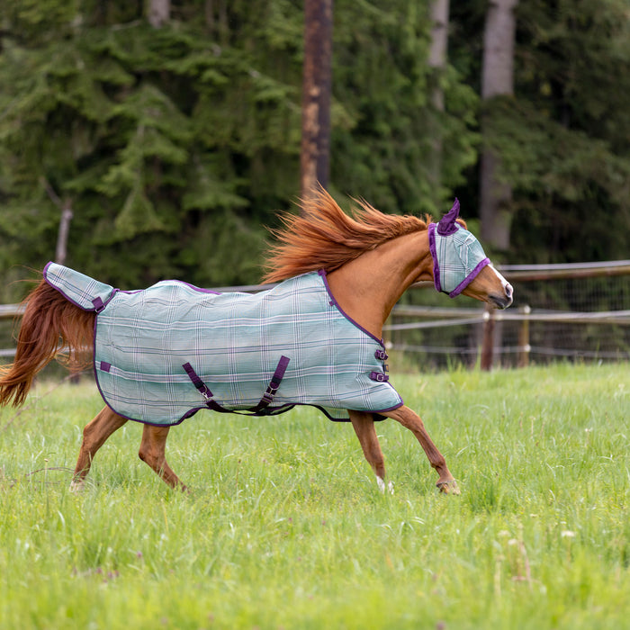 Health Alert: Vesicular Stomatitis in Horses