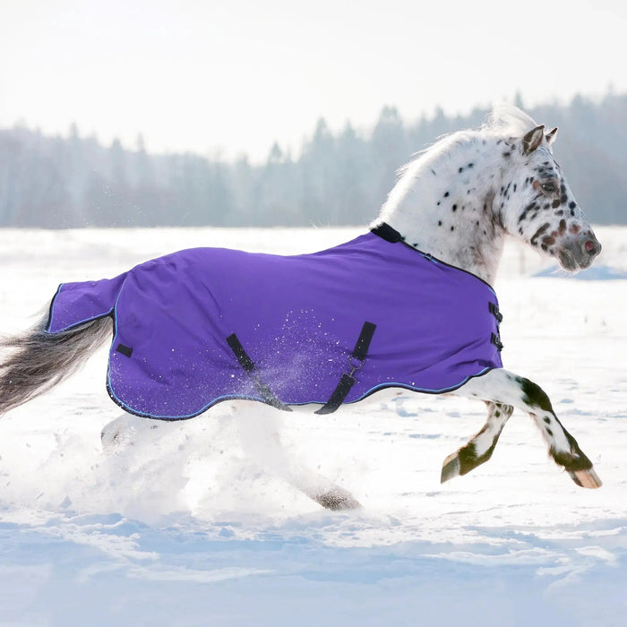 How-to-Inspect-Maintain-Your-Horse-Blankets-Fly-Sheets-for-Longevity Kensington