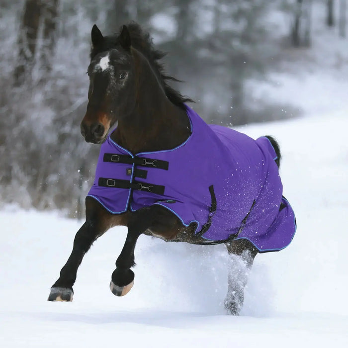 Winter-Is-Coming-Your-Guide-to-a-Smart-Blanketing-Season-with-Kensington Kensington