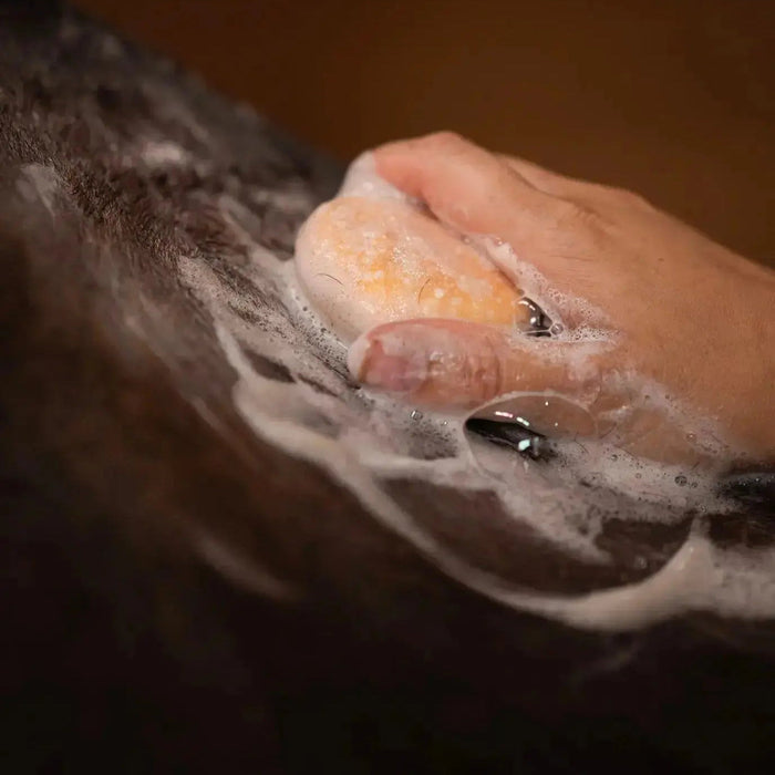Eco-Friendly Grooming Made Simple: Why Bex Bar Soap Is Ideal for Horses and Dogs