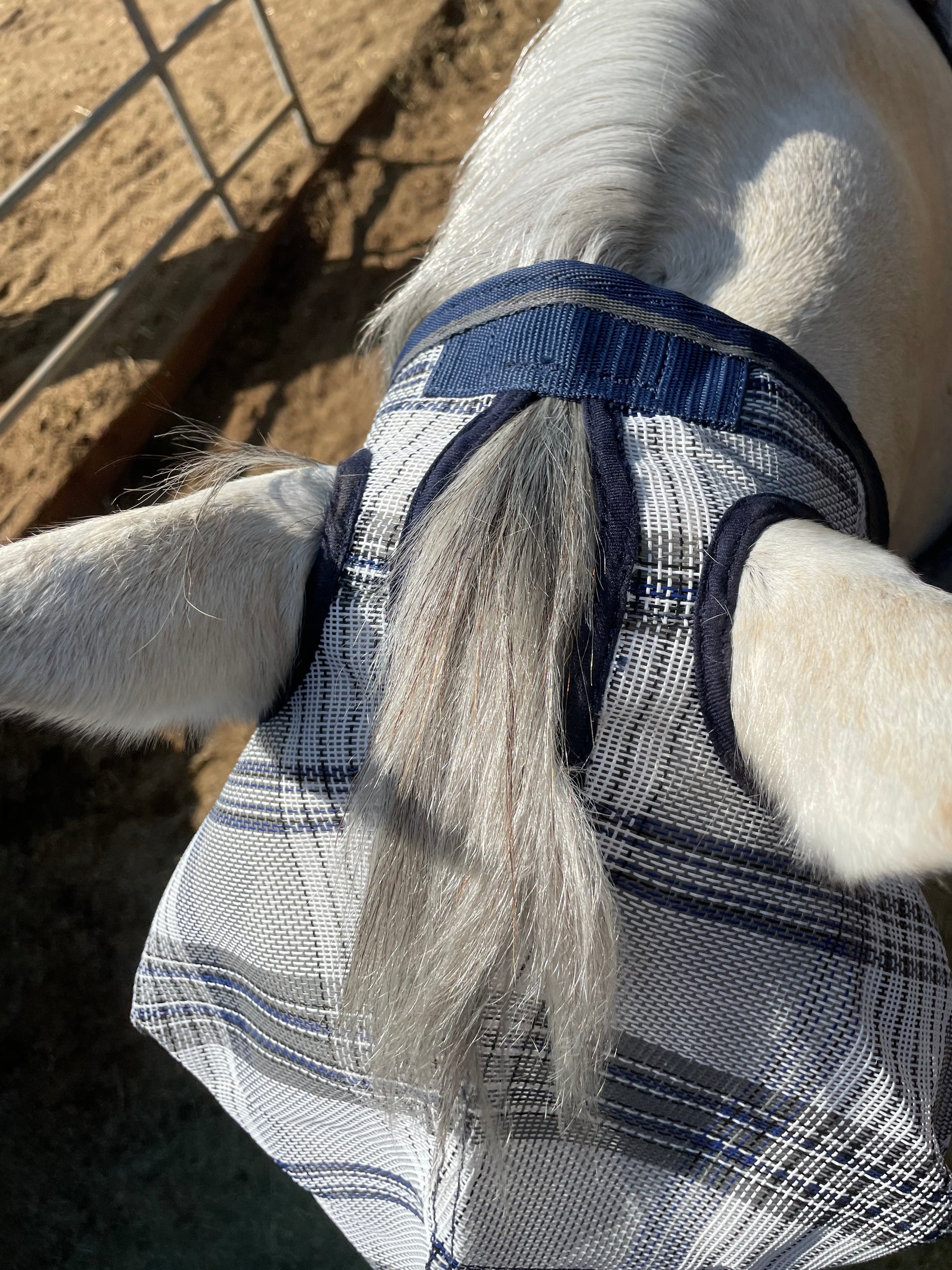 Horse fly mask