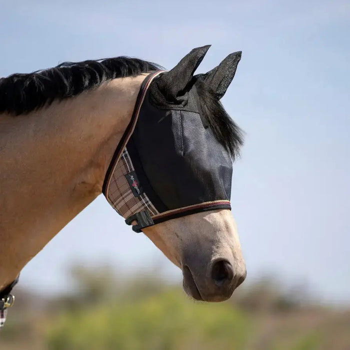 The-Science-of-Shade-Why-UV-Protection-Matters-in-Equine-Gear Kensington