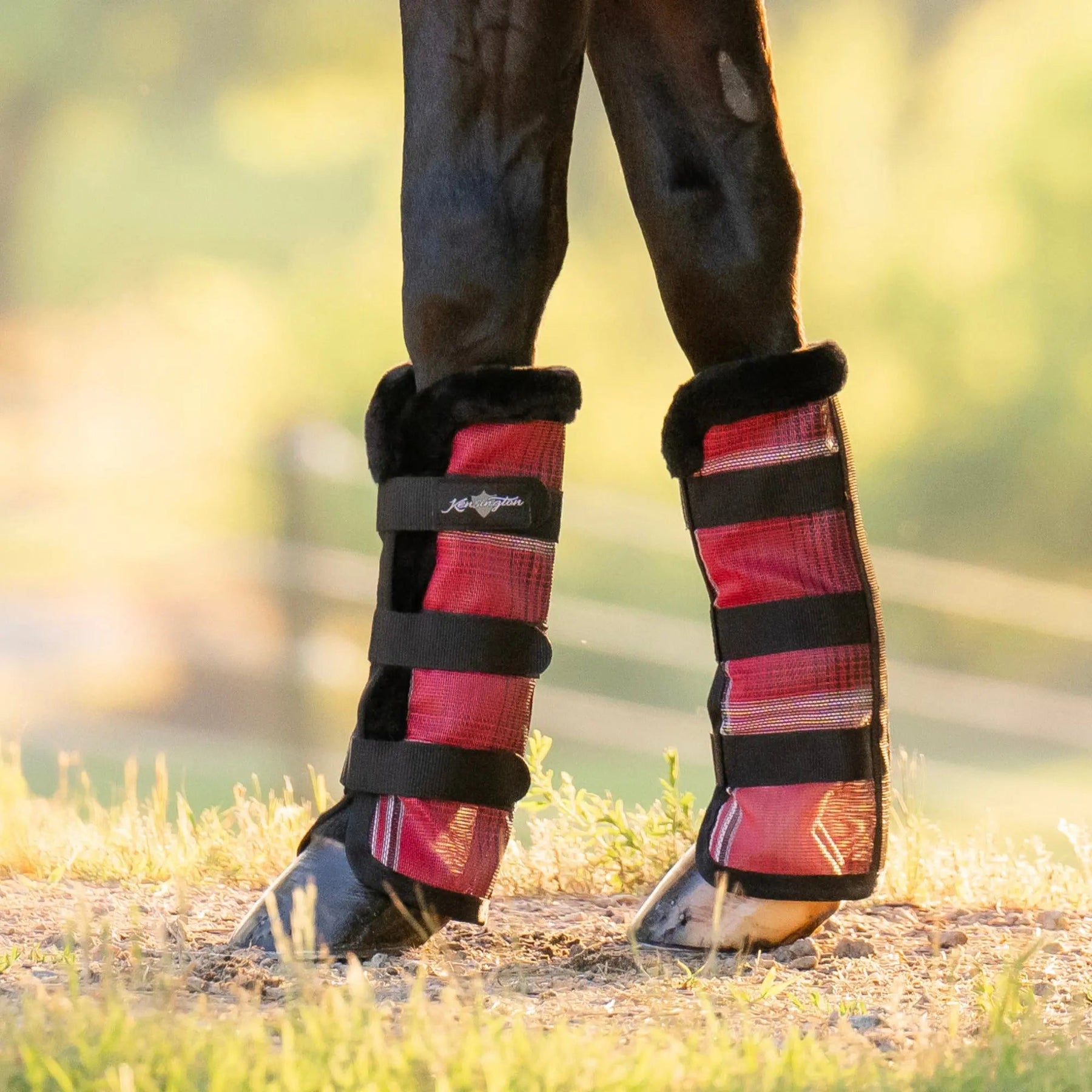 Fly Boots for Horses: 7 Key Things to Know for 2026