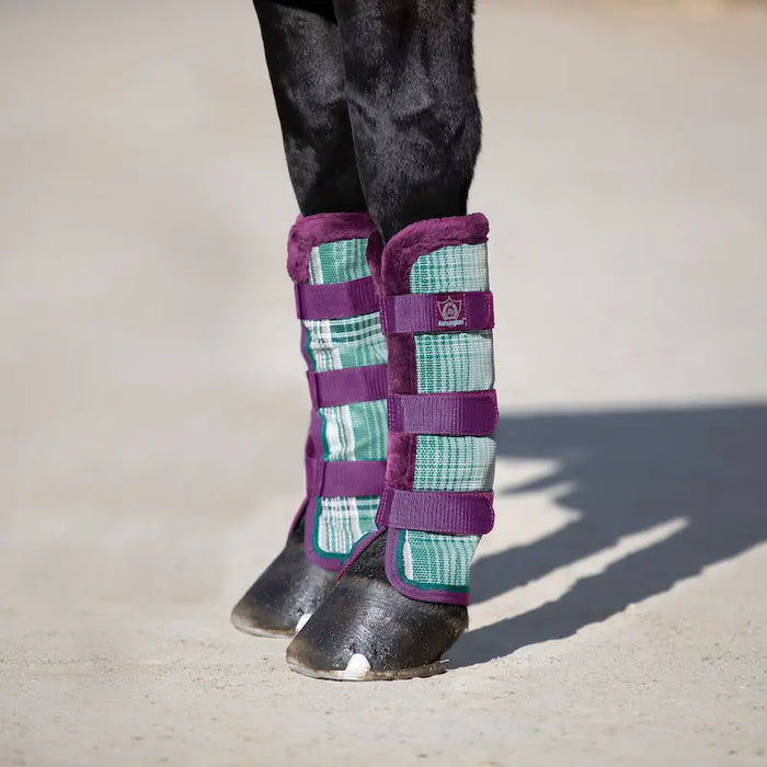 The-Unsung-Hero-of-Equine-Comfort-Why-Your-Horse-Needs-Fly-Boots Kensington