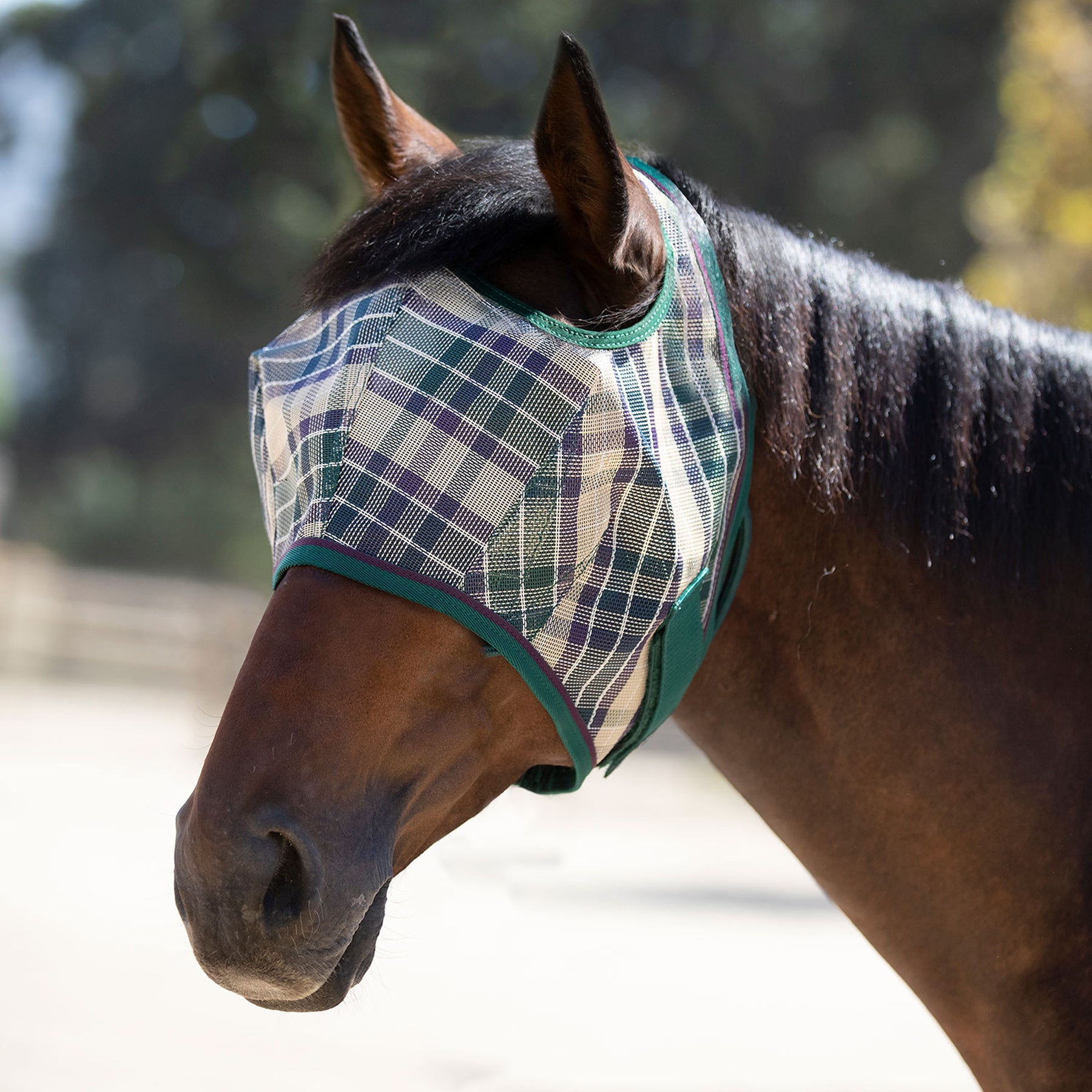 Fly mask for horses