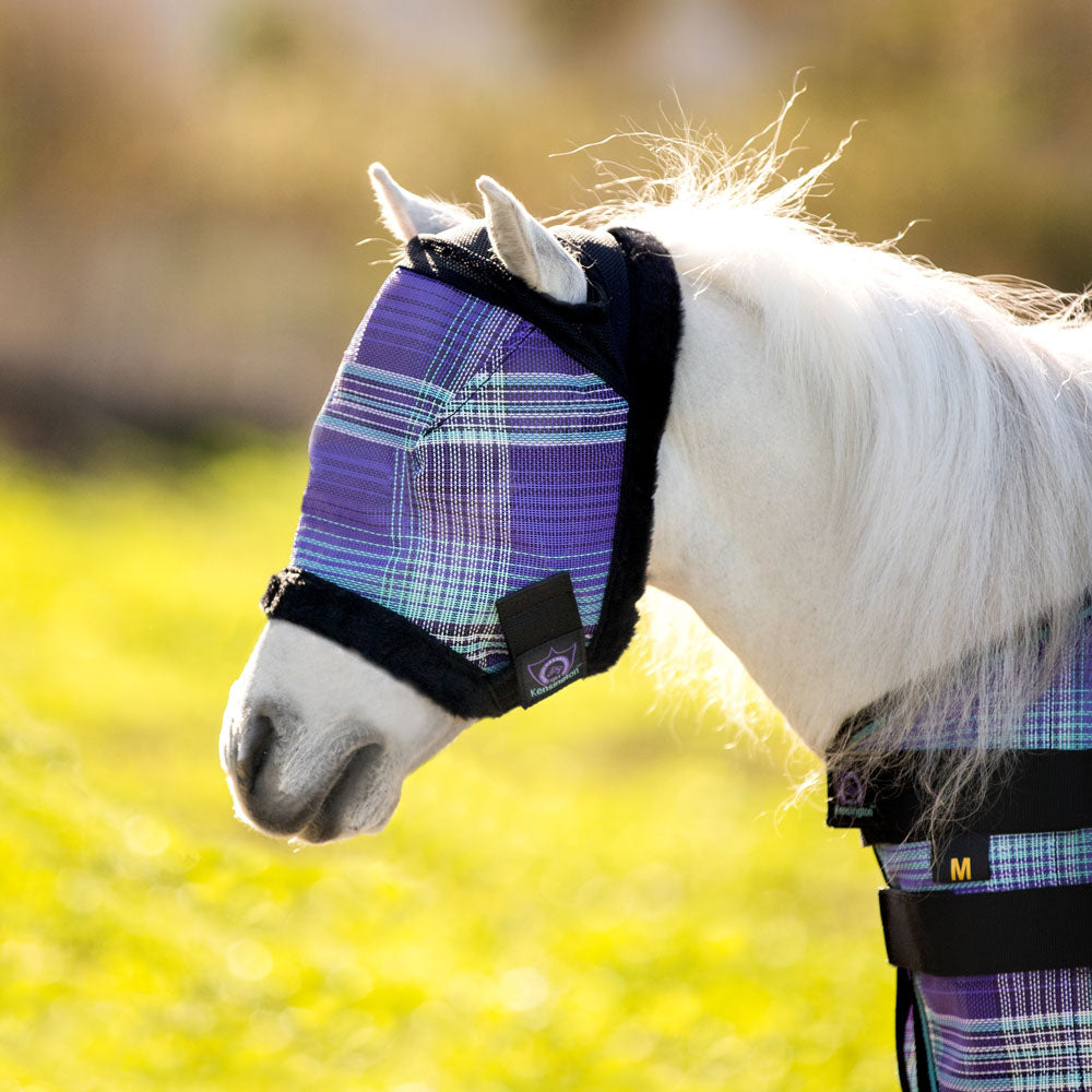 Mini Horse Fly Mask FAQ: Answers To The 7 Most Common Questions (2026 Guide)