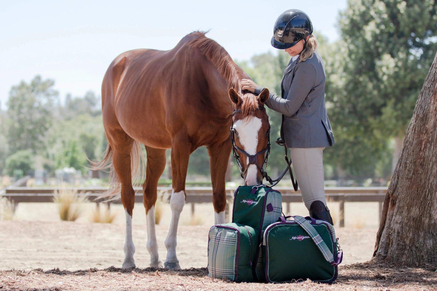 Ask-the-Expert-Your-Top-Blanket-Fly-Gear-Questions-Answered Kensington