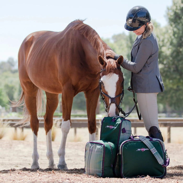 Ask-the-Expert-Your-Top-Blanket-Fly-Gear-Questions-Answered Kensington