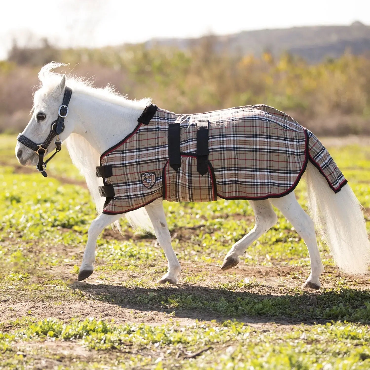 Troubleshooting-Fit-Common-Problems-With-Sheets-Masks-and-How-to-Fix-Them Kensington