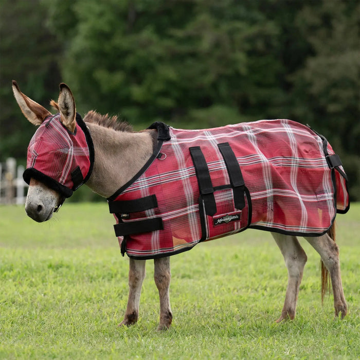 Dressing Donkeys: Why and How? Kensington