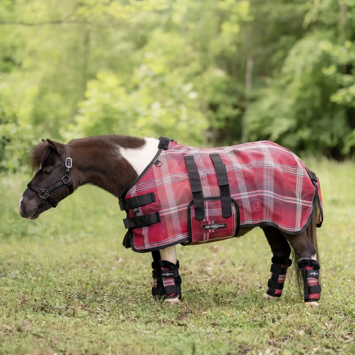 Are horse fly sheets good or bad? A complete guide for 2026. Kensington