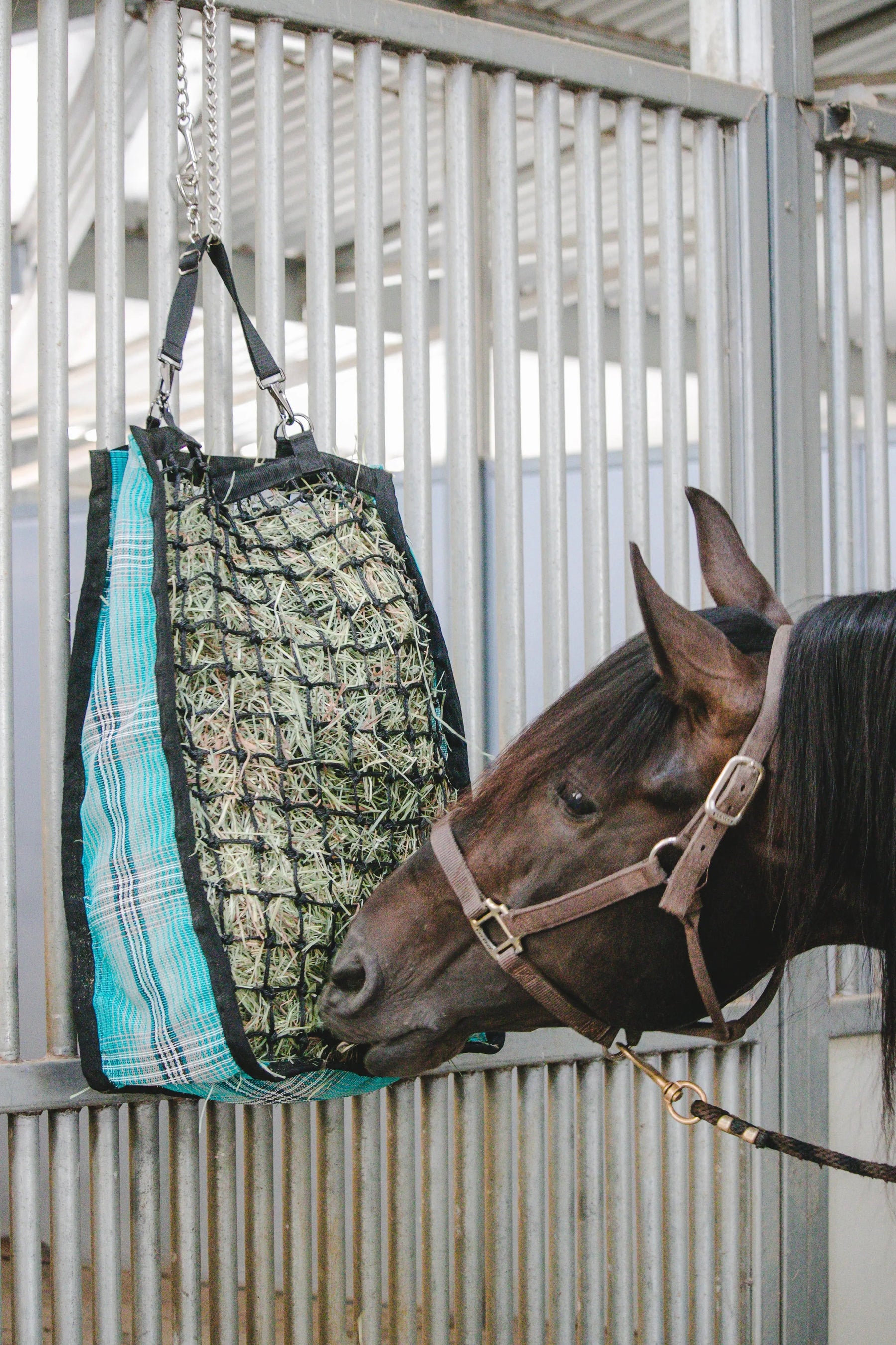 Hay Bags for Horses: 7 Things Every Owner Should Know in 2026