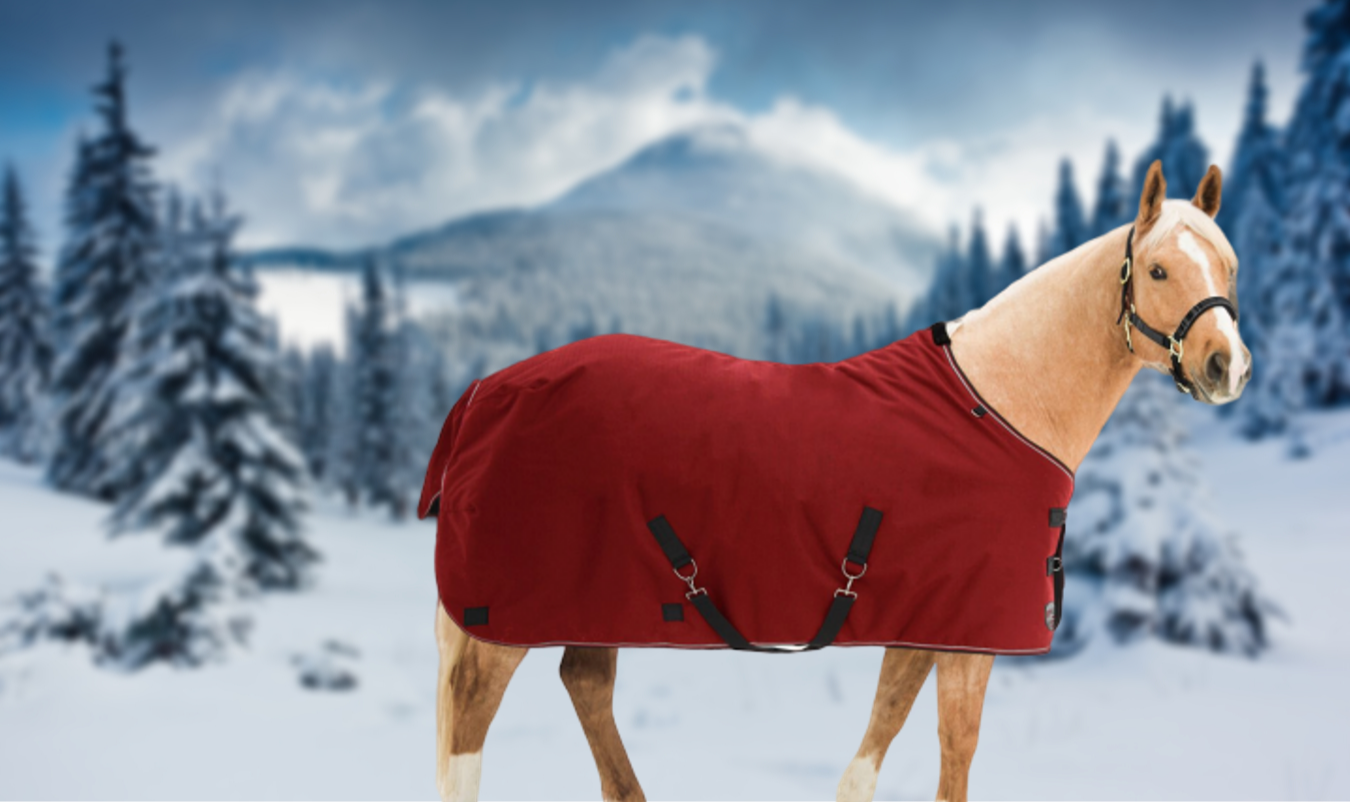 Winter Horse Safety: Tips and Top Products from Kensington Protective Products