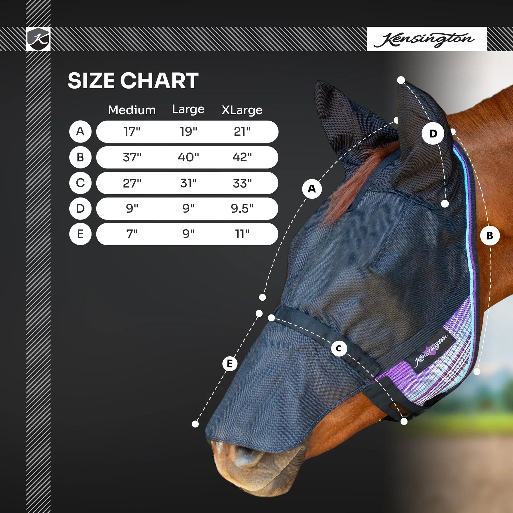 How to Measure Your Horse for a Fly Mask: Finding the Perfect Fit
