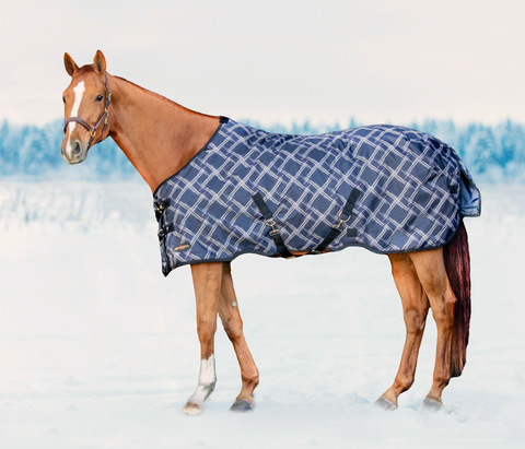 How To Know When Your Horse Needs A Winter Turnout — Kensington