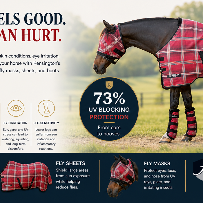 When Sunshine Becomes a Health Risk: How UV Exposure Can Impact Horses