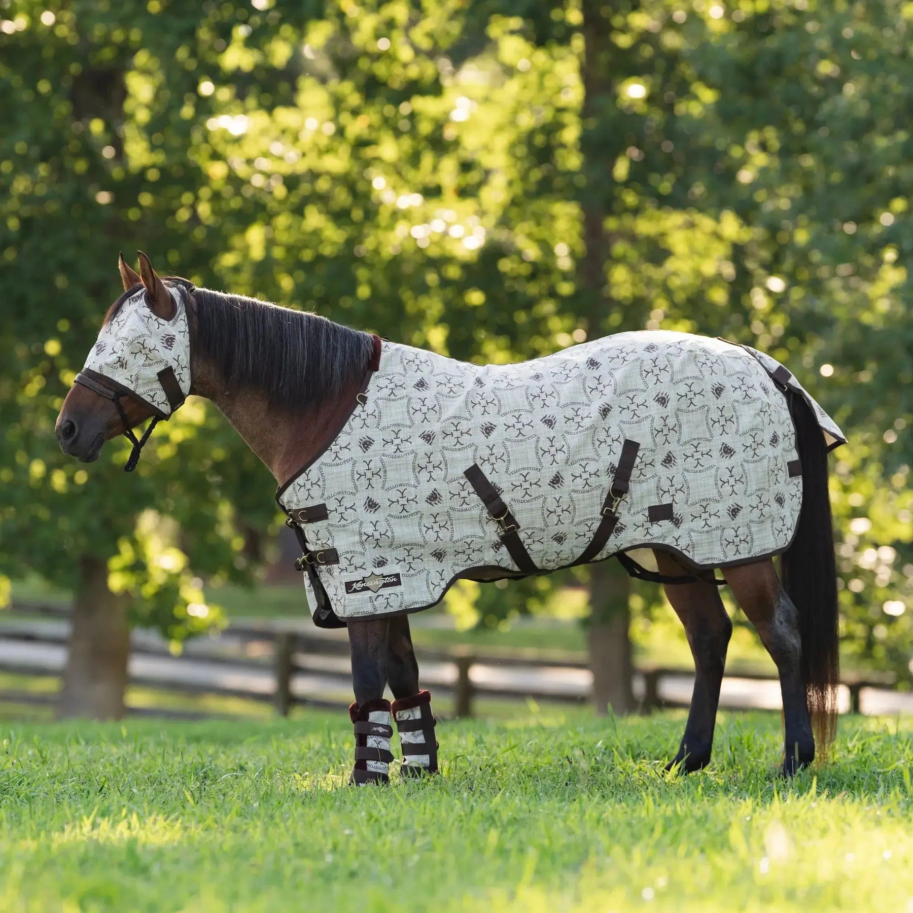 Can horses see at night while wearing a fly mask? Kensington